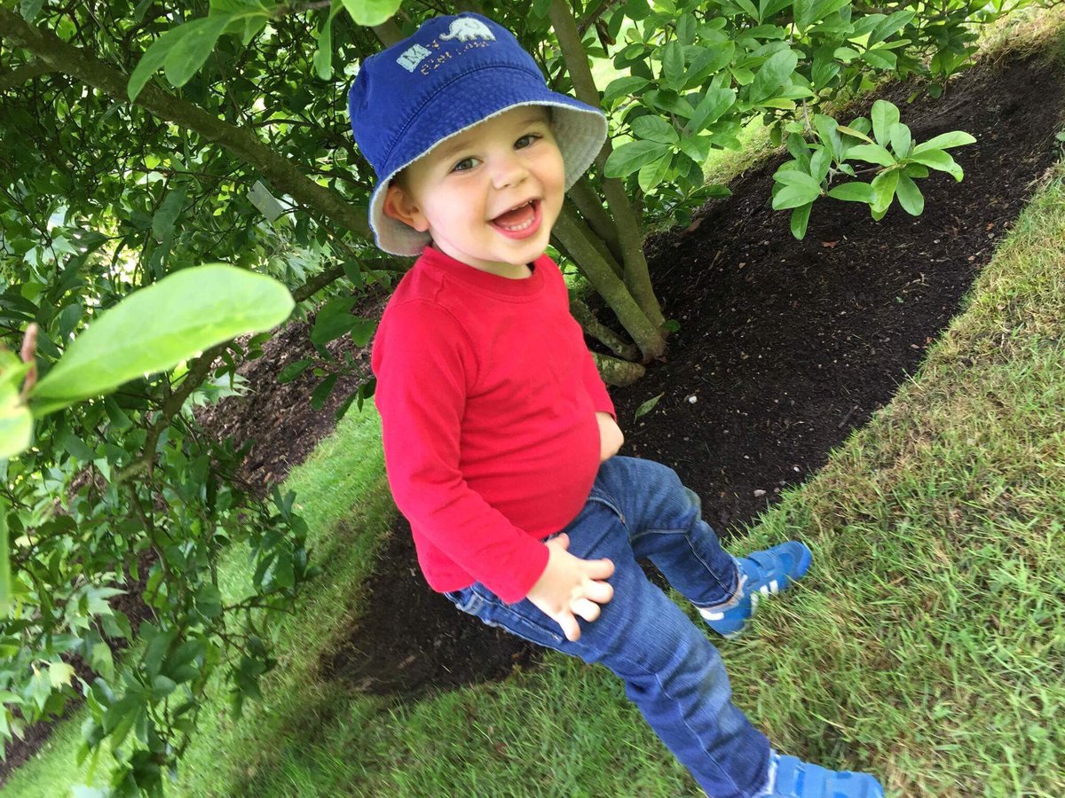 GrantSimpson4's tweet photo. Great day @kewgardens #kewfriendsweek https://t.co/2b0rnUGcKu