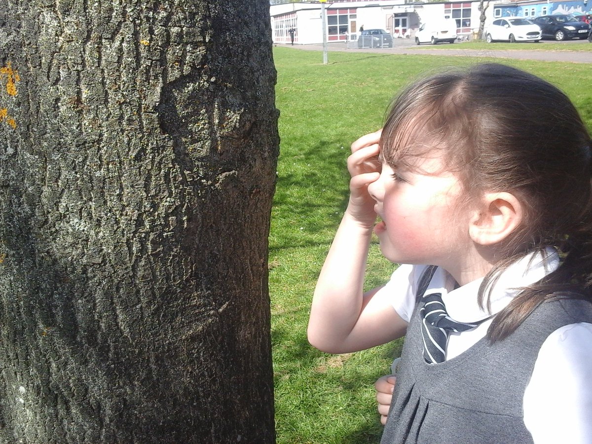 MissMcFarlaneP2's tweet photo. On the hunt for mini-beasts! https://t.co/7lQOfnoSmp