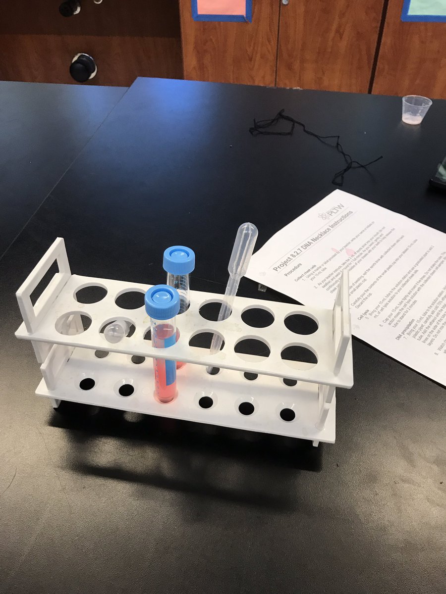 julia_civitello's tweet photo. Medical detectives isolating DNA from their cheek cells.🔍@rmsvikings #PLTW #vikingscience #RMSpride https://t.co/Xb4NMfcHxi