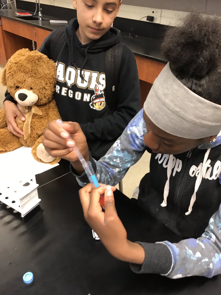 julia_civitello's tweet photo. Medical detectives isolating DNA from their cheek cells.🔍@rmsvikings #PLTW #vikingscience #RMSpride https://t.co/Xb4NMfcHxi