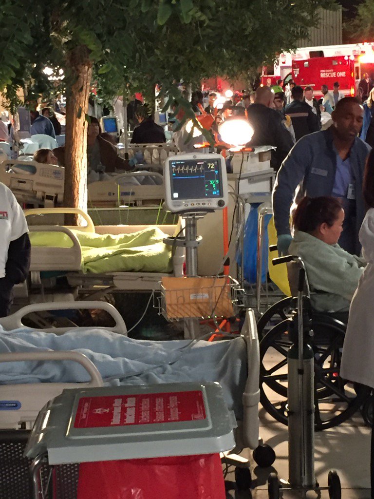 Lorrie Ramsey (lovnthewildlife) Twitter