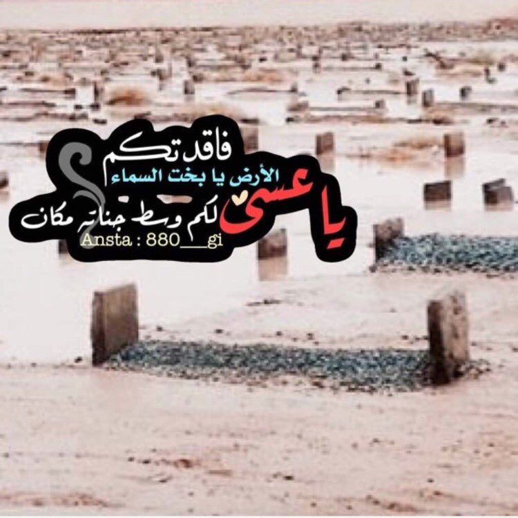 هايدي (@haydi003) on Twitter photo 