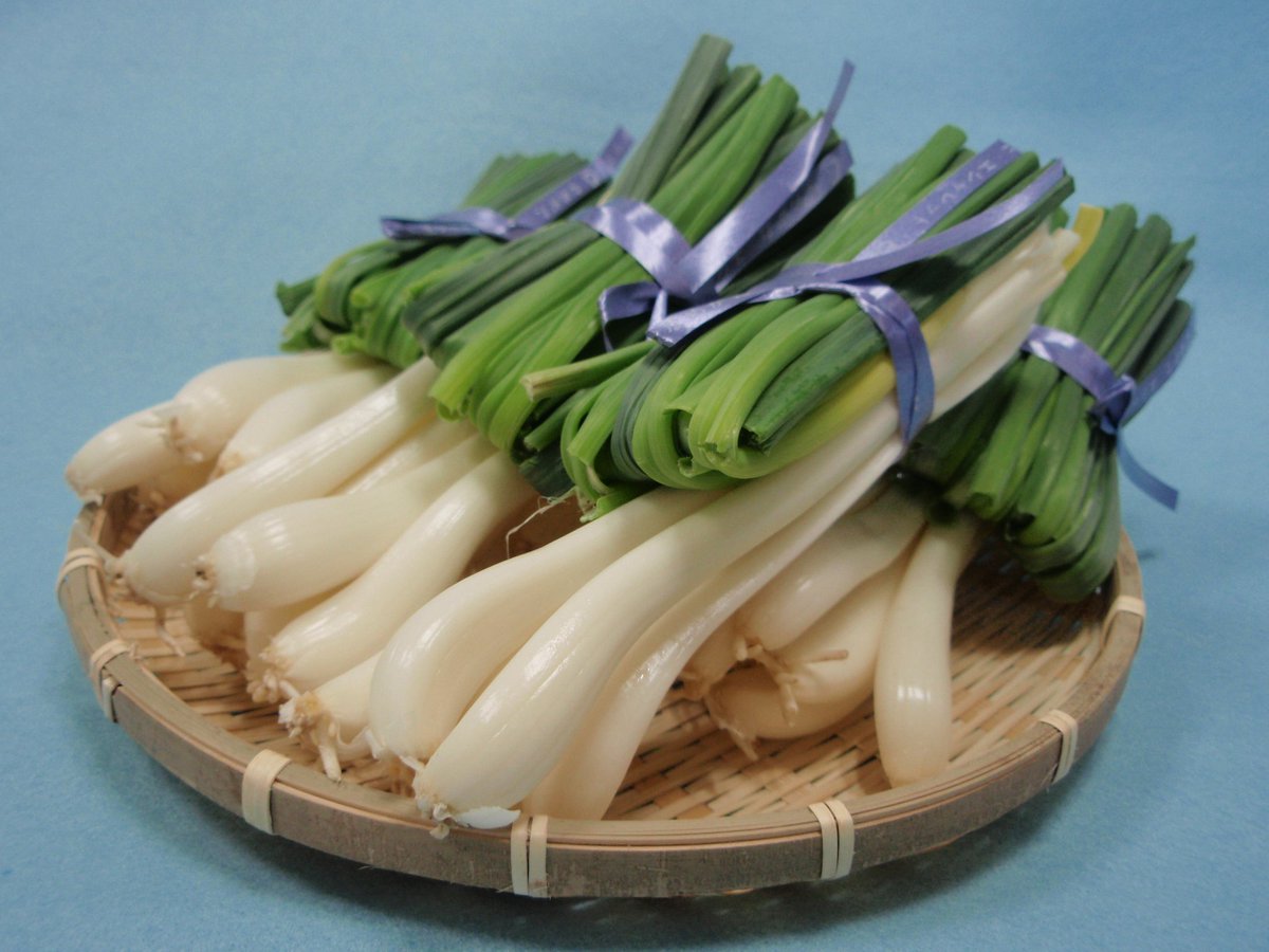 茨城県 Pa Twitter エシャレット出荷最盛期 行方市はエシャレットの生産量日本一 エシャレット はラッキョウを深植えして白い部分が多くなるよう栽培し 若いうちに収穫したもの 生のまま味噌やマヨネーズを付けても 天ぷらや炒め物などでもおいしく召し上がれます