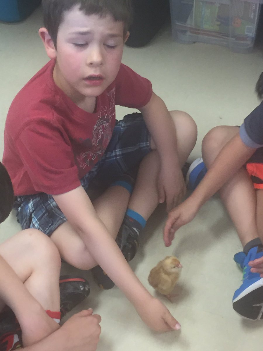 Grade1SD tweet picture