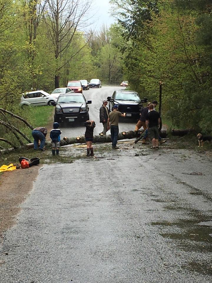 moose995's tweet photo. Tree that came down on Lone Pine Drive has been removed. https://t.co/663v6c1GW4