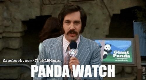 DumpsterPandas's tweet photo. https://t.co/tawCHREne6