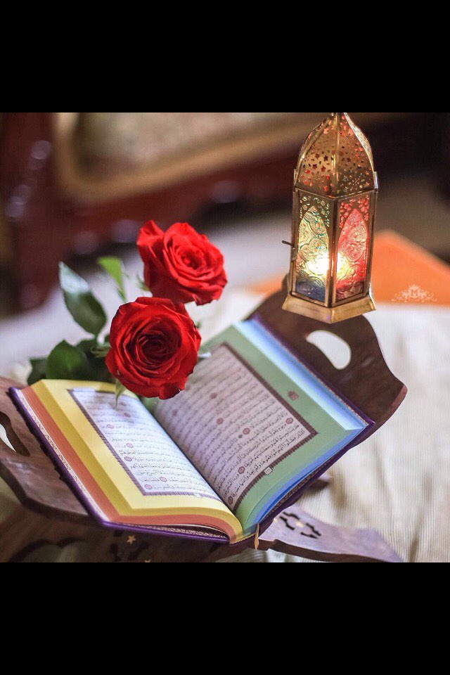 ali_shammar2's tweet photo. *مَن قرأ القرآن كانت له دعوة مجابة: 

إما مُعجّلة وإما مُؤجّلة.

.

ألامام الحسن المجتبى "ع"💛 https://t.co/fZhEonsbR2