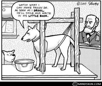 Monaper29's tweet photo. Different perspective. Fascinating. 🐶🛎️ #TherapyThursday #MarkStivers @Qbonbon @TheresaNicassio @_carrienet_ @NataliePalombi @aliyahobrien https://t.co/xHMKQIs8fP