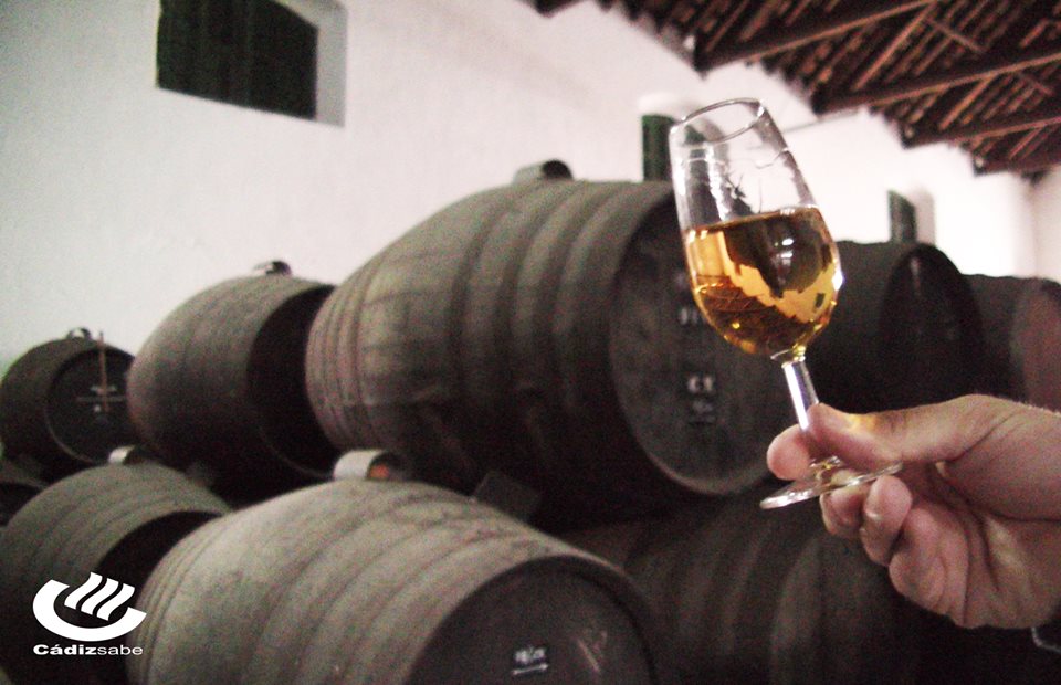 CadizSabe's tweet photo. Brindamos por la @FeriadeJerez_  porque  es tiempo de Fiesta y @CopaJerez. @cadizsabe a  @sherrylover_
@CadizTurismo @JerezTurismo @ErDesvan https://t.co/LtOFlZEUBW