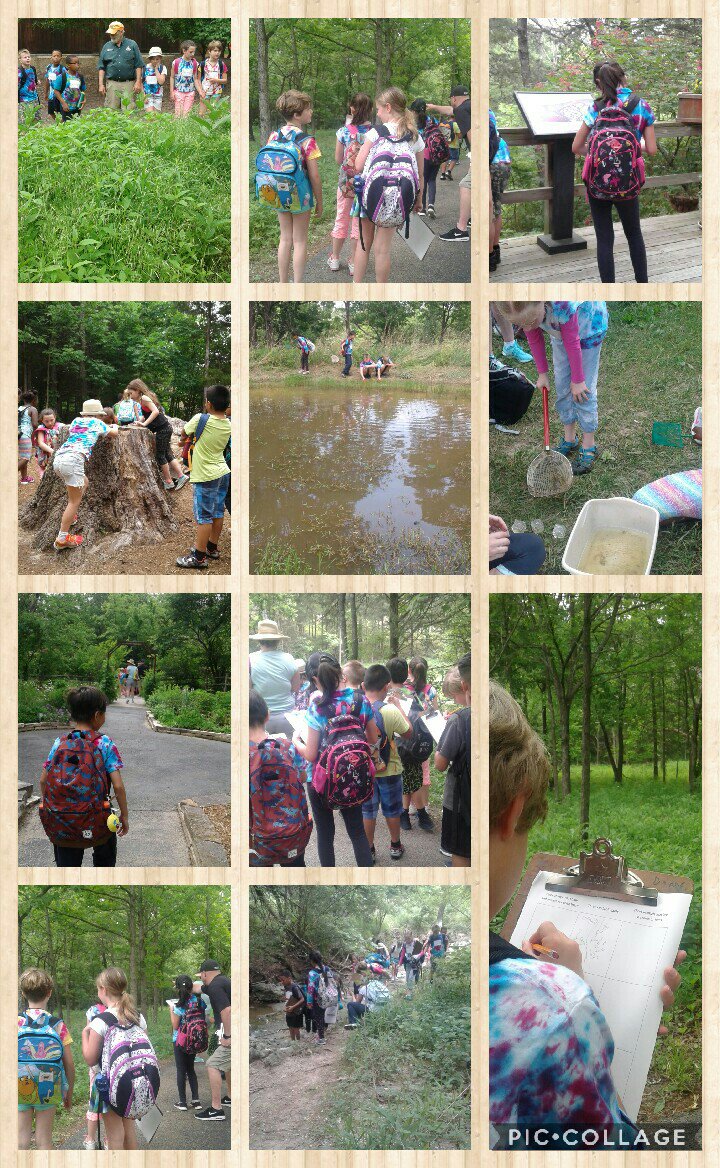 Wortham3rdGrade's tweet photo. We had an amazing field trip at Runge Nature Center today. Thank you to @LeeTrailerB and all of our parent volunteers for your help! https://t.co/9R47lK14tx