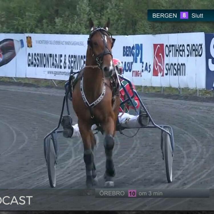 idamholme's tweet photo. Stay Dench og Øyvind avgjorde dagen på enkleste vis! Helt fantastisk å ha passhest som passerer målstreken først igjen! ☺ https://t.co/AedOQAQPvB
