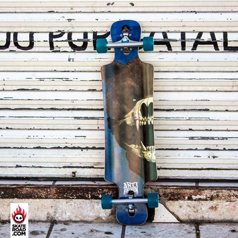 skateroad's tweet photo. Longboard @antifashionmex Bear, armada con trucks Gullwing y ruedas Sector 9! Enviamos a todo MX!  Visitanos en https://t.co/VXkjXuYqa6 https://t.co/PeCxwWX9E8