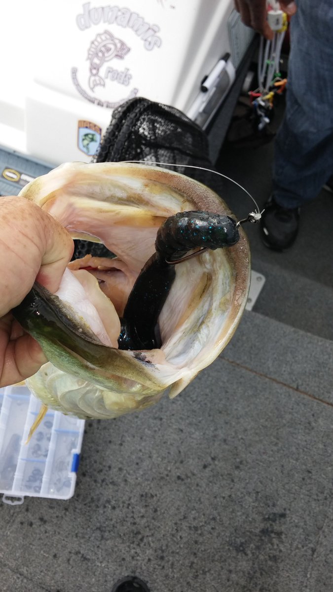 Turbo Buzz Lures tweet media