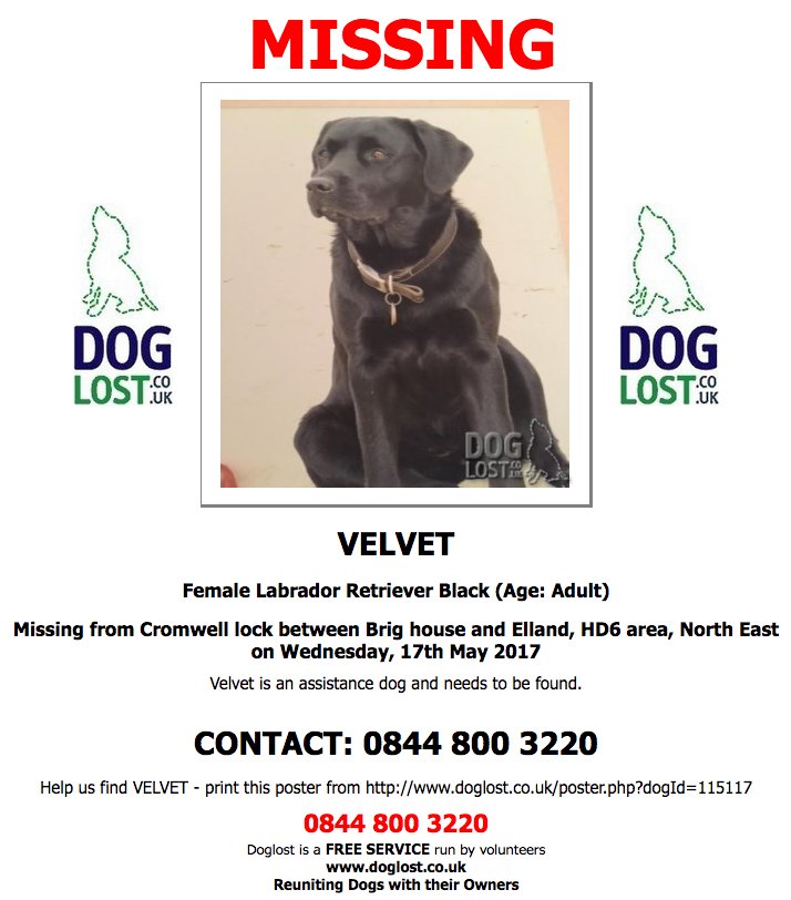 DogLostUK's tweet photo. #LOST VELVET Female #Labrador #Brighouse #HD6 #Lostdog #ScanMe https://t.co/5aDQYEVQfE https://t.co/iJtM83s5xP