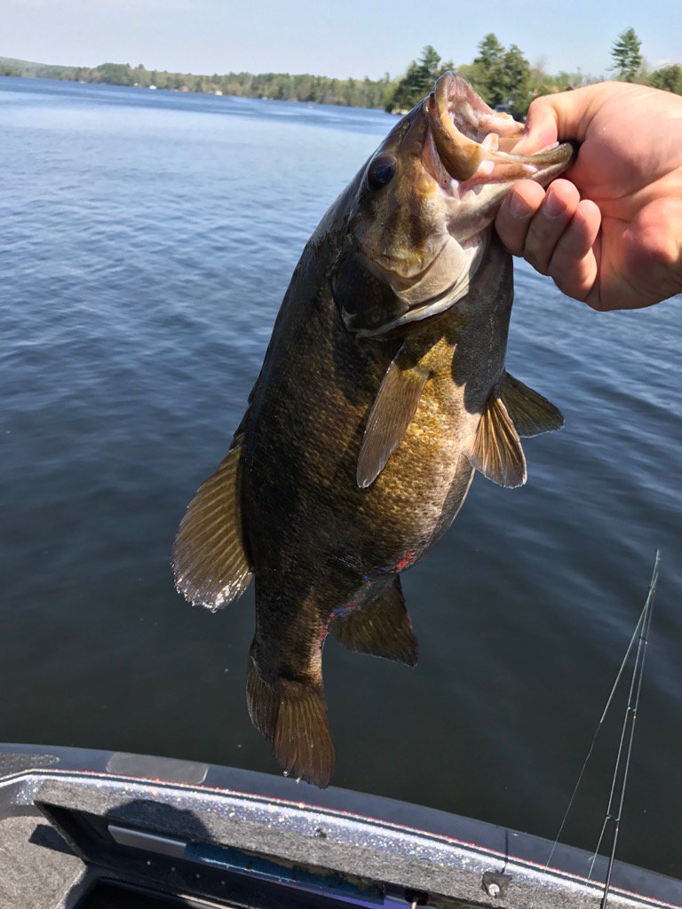 Jeff Hesketh tweet media