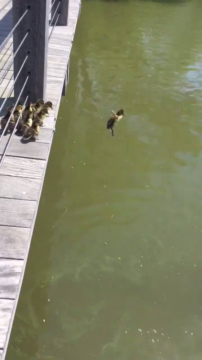 Now this is what we call co-regulation! We help regulate each other in stressful situations. #SelfRegInAction Watch: bit.ly/2rvz6TN