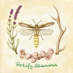 We just added our Alchemy Guild! Go check out the bio to join in!

biol.be/TESVillageRP