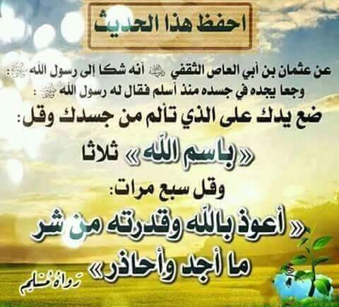 راجية الفردوس (@45abcd9) on Twitter photo 