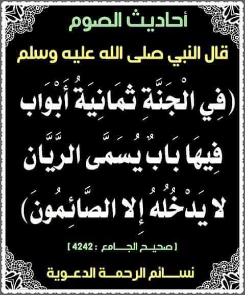 راجية الفردوس (@45abcd9) on Twitter photo 