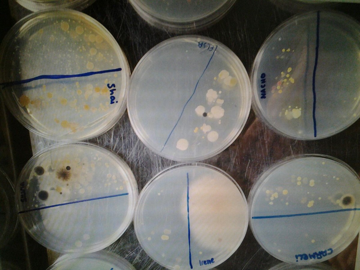 ASBASbiotec's tweet image. Un poco de ciencia  microbiana en el Biotechnofarm, con los alumnos del Instituto de la Ería. Qué la Biotecnología se extienda cual virus ;3