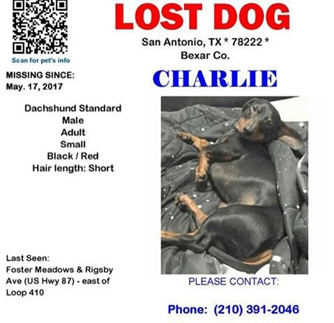 seven day weekend tweet media