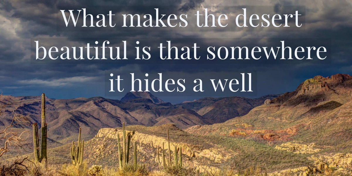 trytn's tweet image. #desert #cactus #Thursday #inspiration #quote