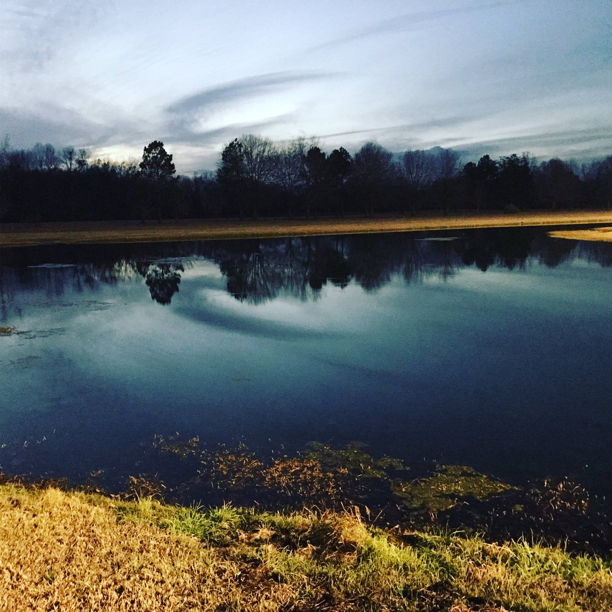 SiCa_Fero's tweet photo. Forgot about this picture I took out in Montgomery.. love this https://t.co/0pixQs15Qy