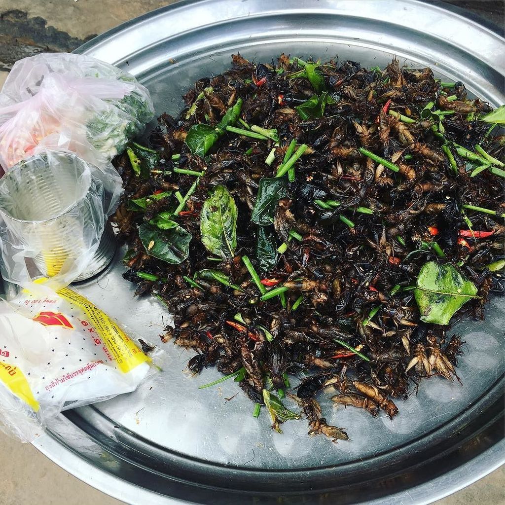 chinafreund's tweet photo. I should have tried these before the rain #friedcrickets #crickets #foodporn #cambodia #siemreap angkorwat #JMGseaTour2017 https://t.co/zLDLtuS5nJ