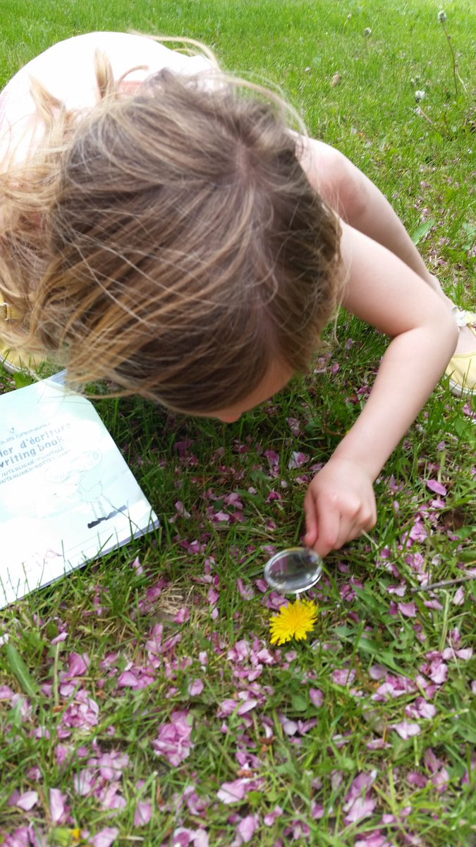 ginettefrenchie's tweet photo. Super belle journée de classe en plein air. @EECSteMadeleine  @cscmonavenir  #OutdoorClassroomDay https://t.co/9NKs7eRXYi