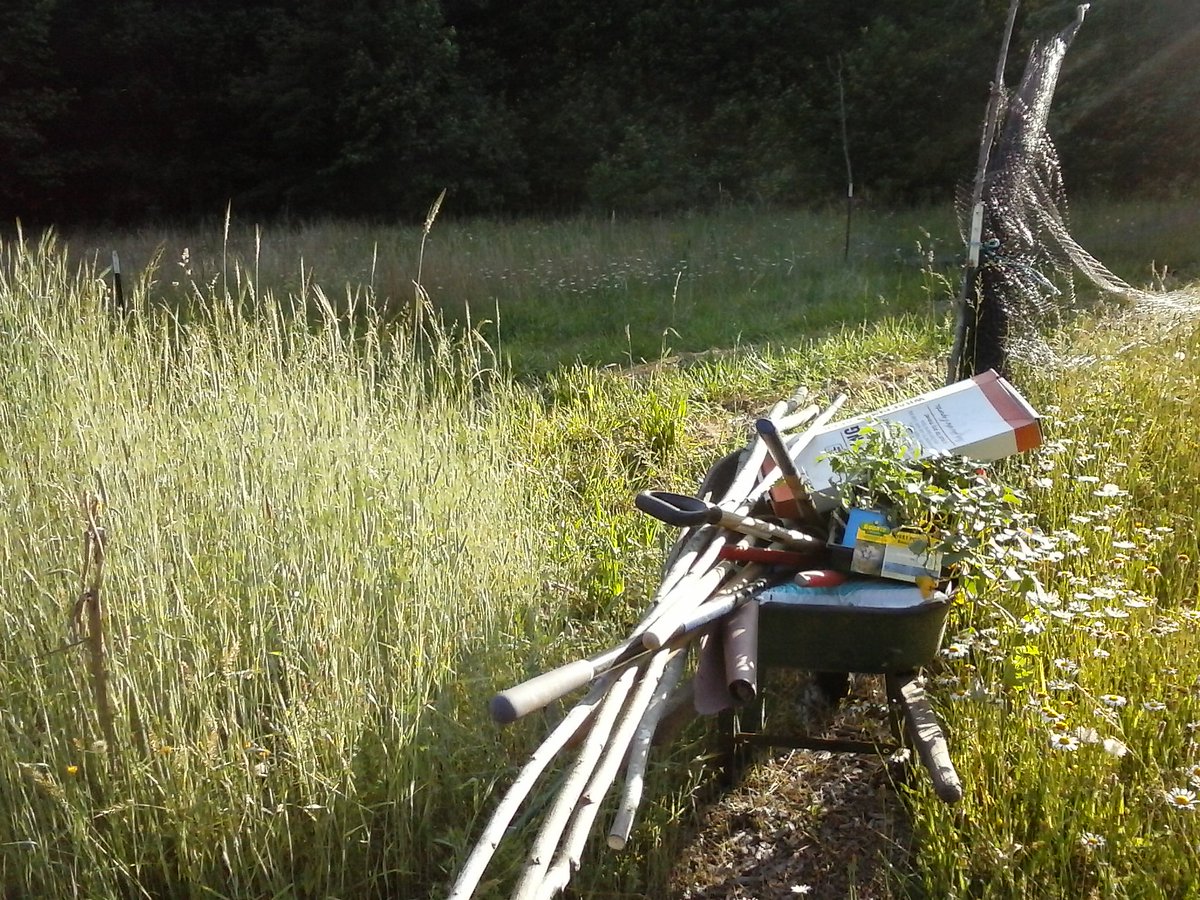Arin_Wanderer's tweet photo. It's odd-job-o-clock on the homestead! #Edgewild #Whenisitnot #Permaculture https://t.co/ESmvknWi65