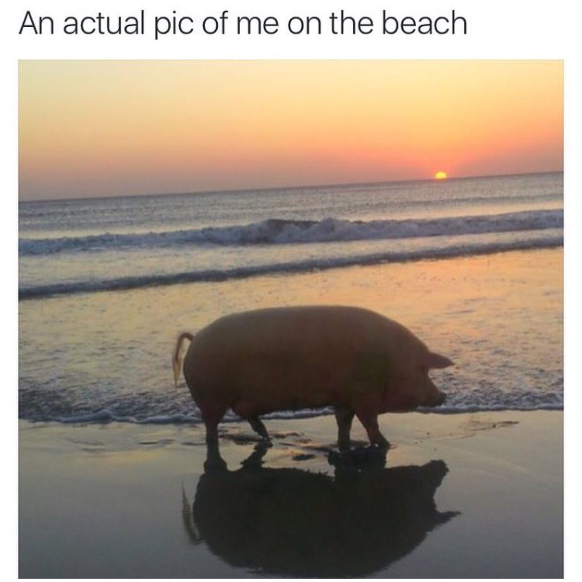 Queso and swimsuit season don't mix.