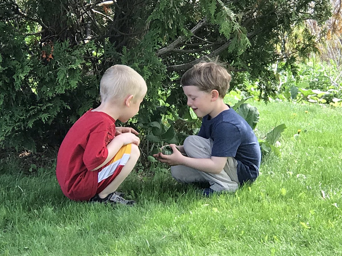 Laura Dyer tweet media