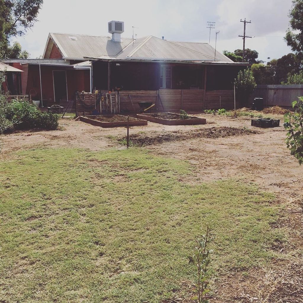 JMJ_EAforaDay's tweet photo. The veggie patch is getting a make over. What to plant with all this space. #mybackyard #veggies #vegiepatch #mall⦠https://t.co/F5wmWddiqF https://t.co/yekFi0xI28