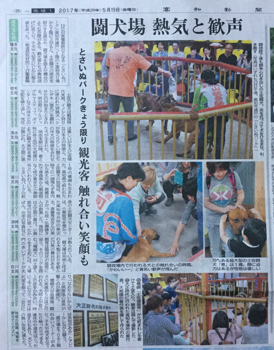 高知で飲んで食べて遊んでいかんかよ Twitterissa 今朝の新聞は闘犬の事もようけ取り上げちょったねぇ 弘瀬のおんちゃんも言いたい事はいろいろあるろうけんどねぇ 高知 土佐犬 闘犬 桂浜