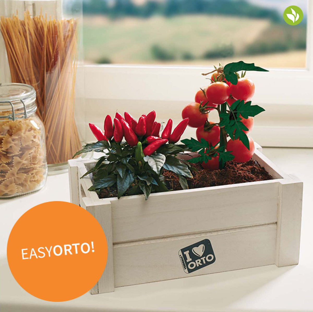 MyGreenChapter's tweet photo. Did someone say chili??!! Grow your own with #EasyOrto, available at #MyGreenChapter! https://t.co/HY9QHbjrr5 #urbanfarming #gardening https://t.co/ujkIlhFmap