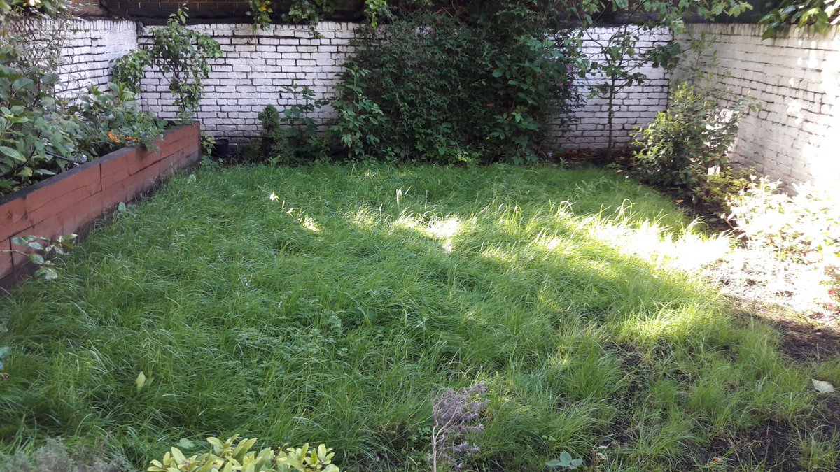 sprucedgardens's tweet photo. Another thoroughly spruced garden!This time we were in Golders Green(Willesden Green,Golders...starting to see a pattern!) #Spruceupyourlife https://t.co/6Cpo4aoIDn