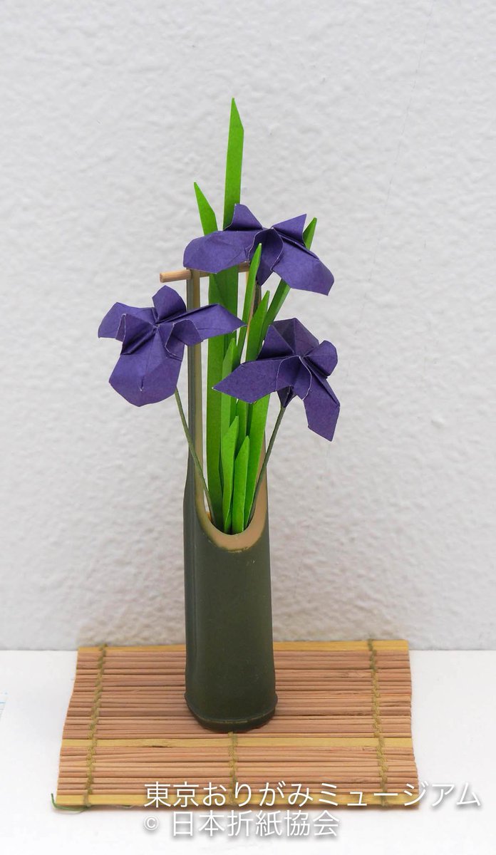 東京おりがみミュージアム 花菖蒲 Iris By Mr Nobuyoshi Shoji 東海林 伸嘉 この作品を作るとき 参考のために実物の菖蒲を観察しながら考えました その際 見る角度を変えるたびに花の印象が変わってしまい 作品にするのは難しい作業でした 綺麗な
