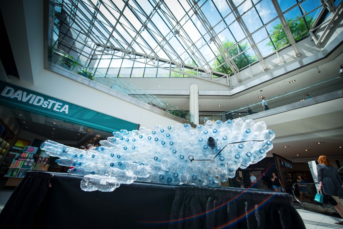 OTSS2017's tweet photo. Beautiful artwork made by students to represent the impact of plastic pollution on whales and marine creatures #WErefuseplastic  @OCDSB https://t.co/fyyd1mUJKf