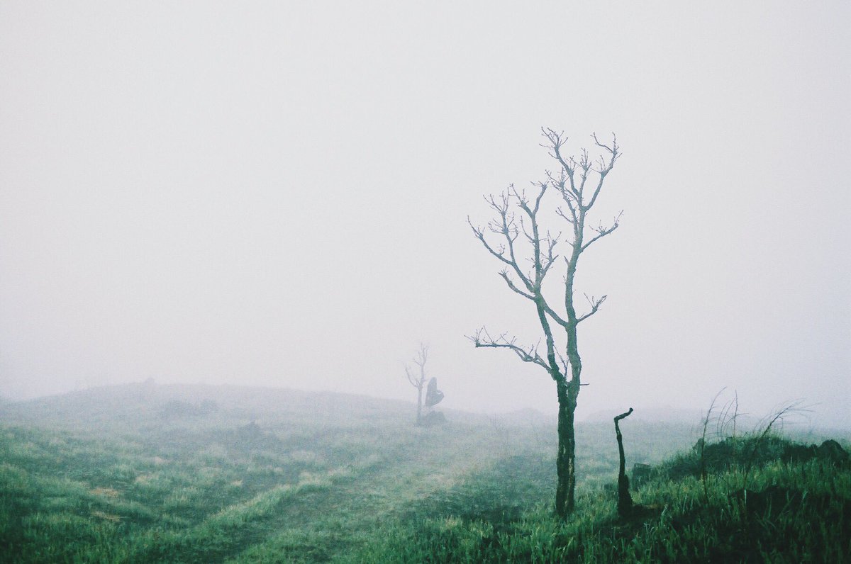 satomikoten's tweet image. Around Mt.Fuji
#filmphotography