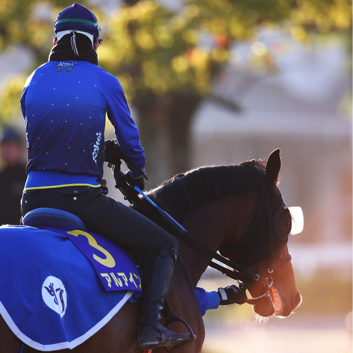 皐月賞馬、アルアイン 5月18日栗東トレーニングセンター 競馬 ダービー アルアイン 栗東 トレセン