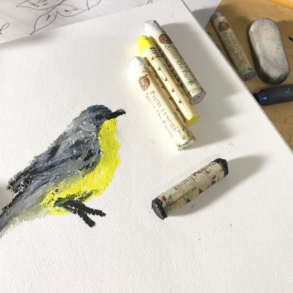 spetersartist's tweet image. Oil Pastel doodle while waiting for photoshop to load... #graphicdesignproblems #mycomputerisadinosaur #lastminuteproject 
#bird #doodle #a…