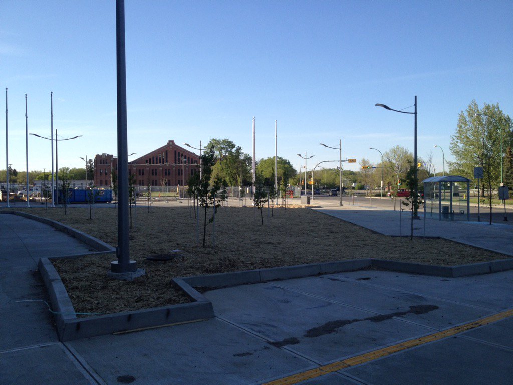 New Tree Lilacs installed Roughriders Fan Plaza #yqr #RRI #yqrstadium #aecom