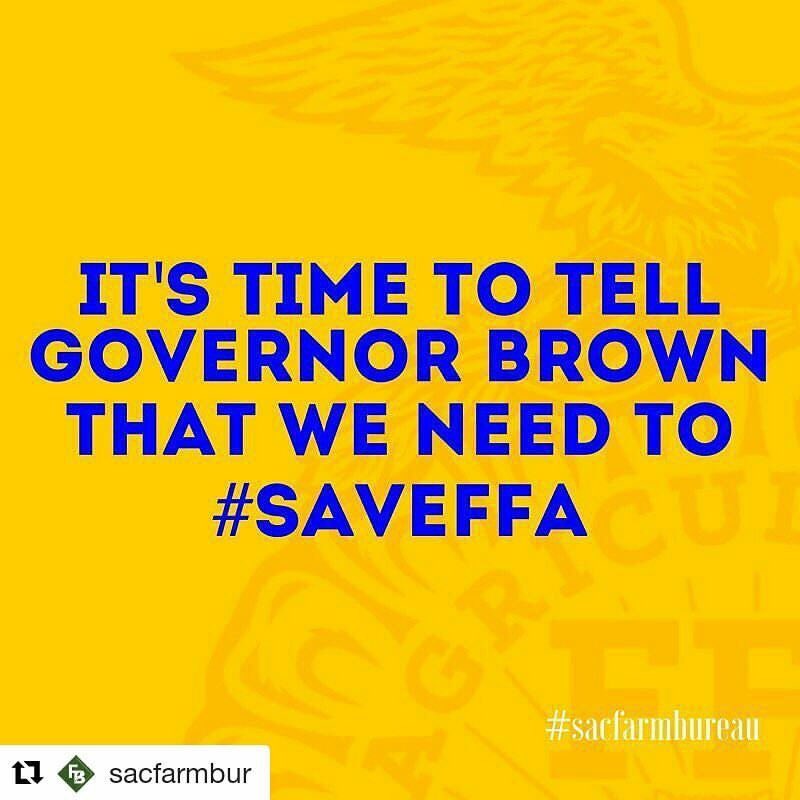 susanVS43's tweet photo. #SaveFFA https://t.co/uEU0VtxQMd