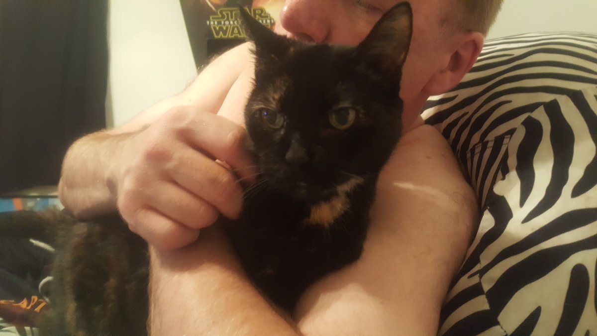 Raw_Pet's tweet photo. 15 year old raw fed cat. Still frisky. Very healthy.
Diet matters!
#RawPet #SpeciesAppropriateFeeding https://t.co/Yvg7MJOOah
