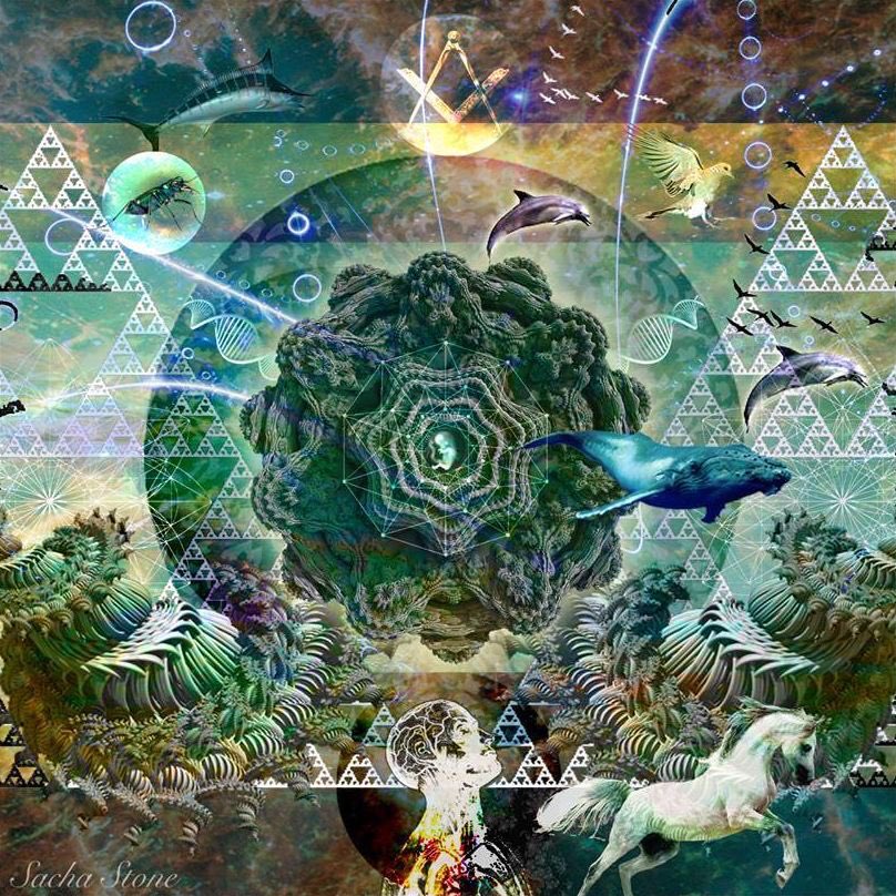 TrippinBro's tweet photo. https://t.co/hp7mU3e2X3