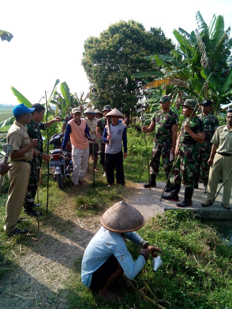 THLPOPTJATIM's tweet photo. @THLPOPTNASIONAL melakukan gerdal  tikus bersama petugas lainnya di kec. Jatikalen Nganjuk  @gusipul4 @bkdjatim  #SahkanRevisiUUASN https://t.co/DIhNek72rV
