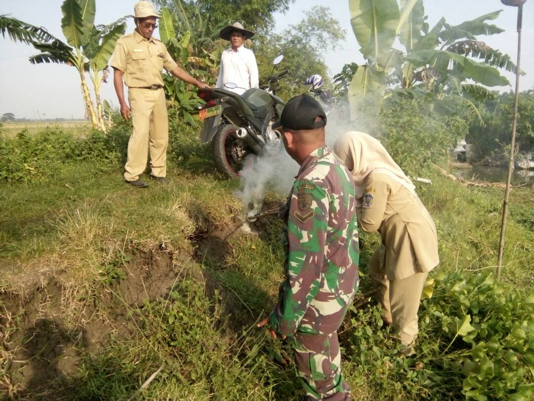 THLPOPTJATIM's tweet photo. @THLPOPTNASIONAL melakukan gerdal  tikus bersama petugas lainnya di kec. Jatikalen Nganjuk  @gusipul4 @bkdjatim  #SahkanRevisiUUASN https://t.co/DIhNek72rV