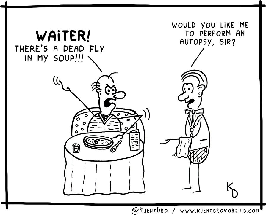 KjentDro's tweet photo. A suspicious death.

#kjentdro #cartoon #cartoons #restaurant #soup #insect #fly #dead #mayshebuzzinpeace
https://t.co/E7oUy4Bi2W https://t.co/6QSxCmVEVR
