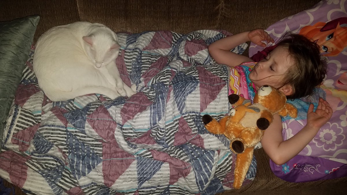 huggmom2's tweet photo. These two are inseparable πππΈπ» #MyPrincess #HerKitty #GreatGrandmasQuilt https://t.co/gQzZ4S8SeP