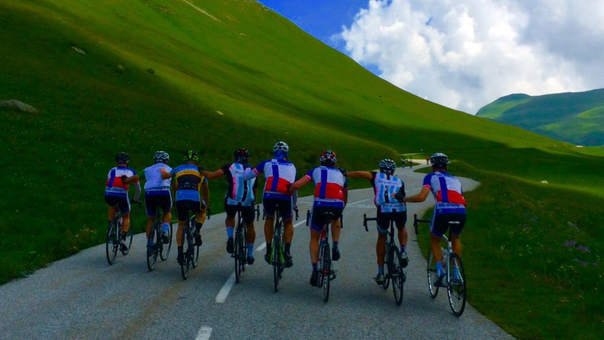 bindloupe's tweet image. 